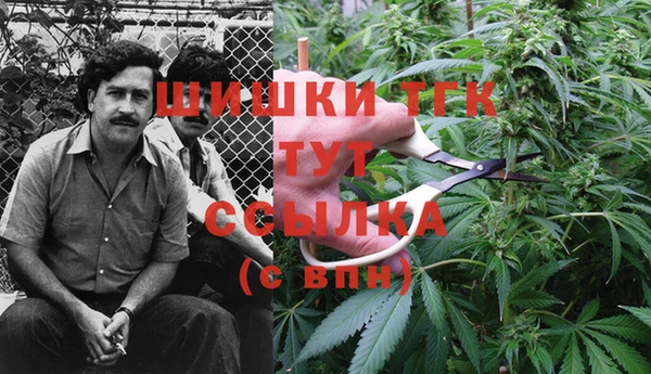 винт Арсеньев